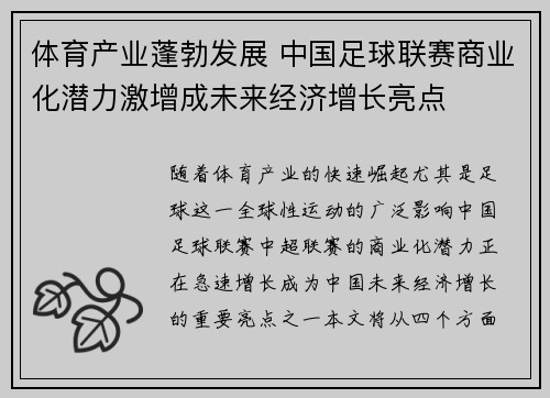 体育产业蓬勃发展 中国足球联赛商业化潜力激增成未来经济增长亮点