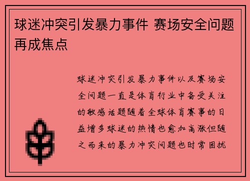 球迷冲突引发暴力事件 赛场安全问题再成焦点